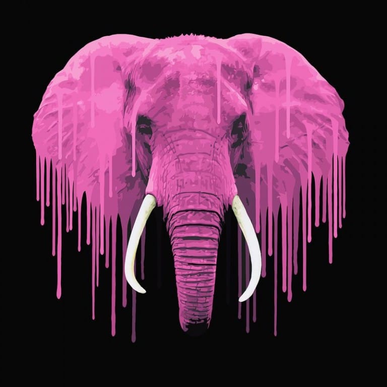 IRONIA - Non pensare all'elefante rosa